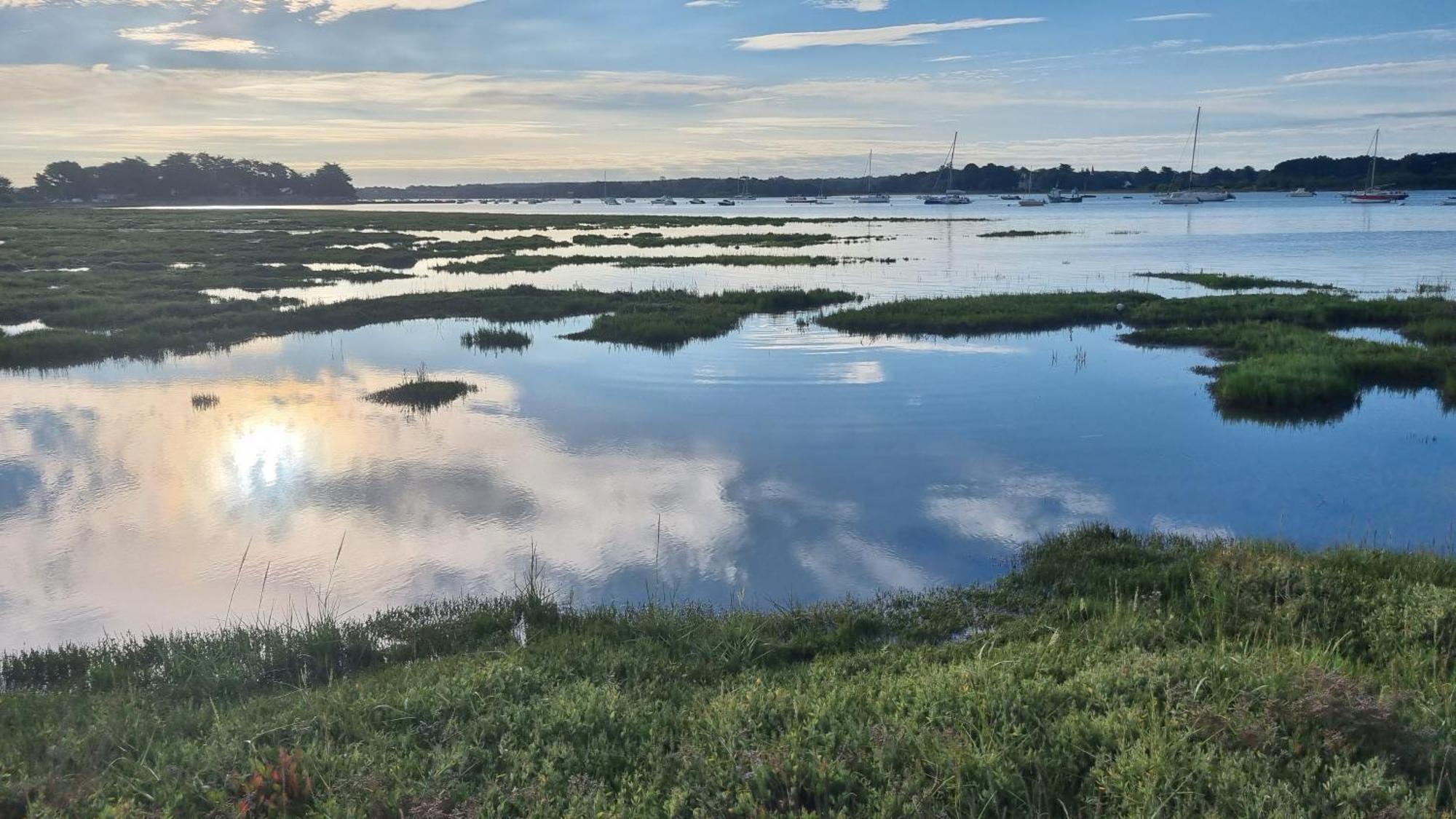 Maison Golfe Du Morbihan - Vue Mer - Plage A 600M - 6 Chambres Séné Εξωτερικό φωτογραφία